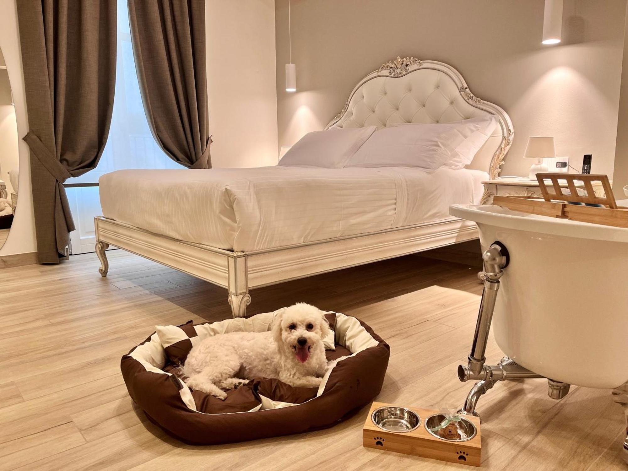 Villa Nonna Cicci Boutique Hotel - SPA Cisterna dʼAsti Esterno foto
