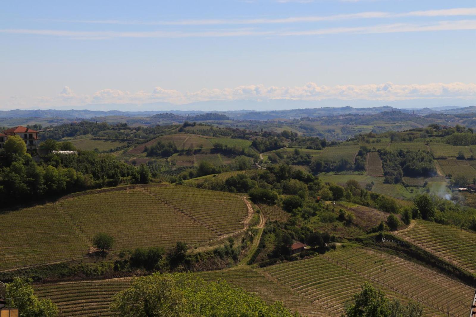 Villa Nonna Cicci Boutique Hotel - SPA Cisterna dʼAsti Esterno foto